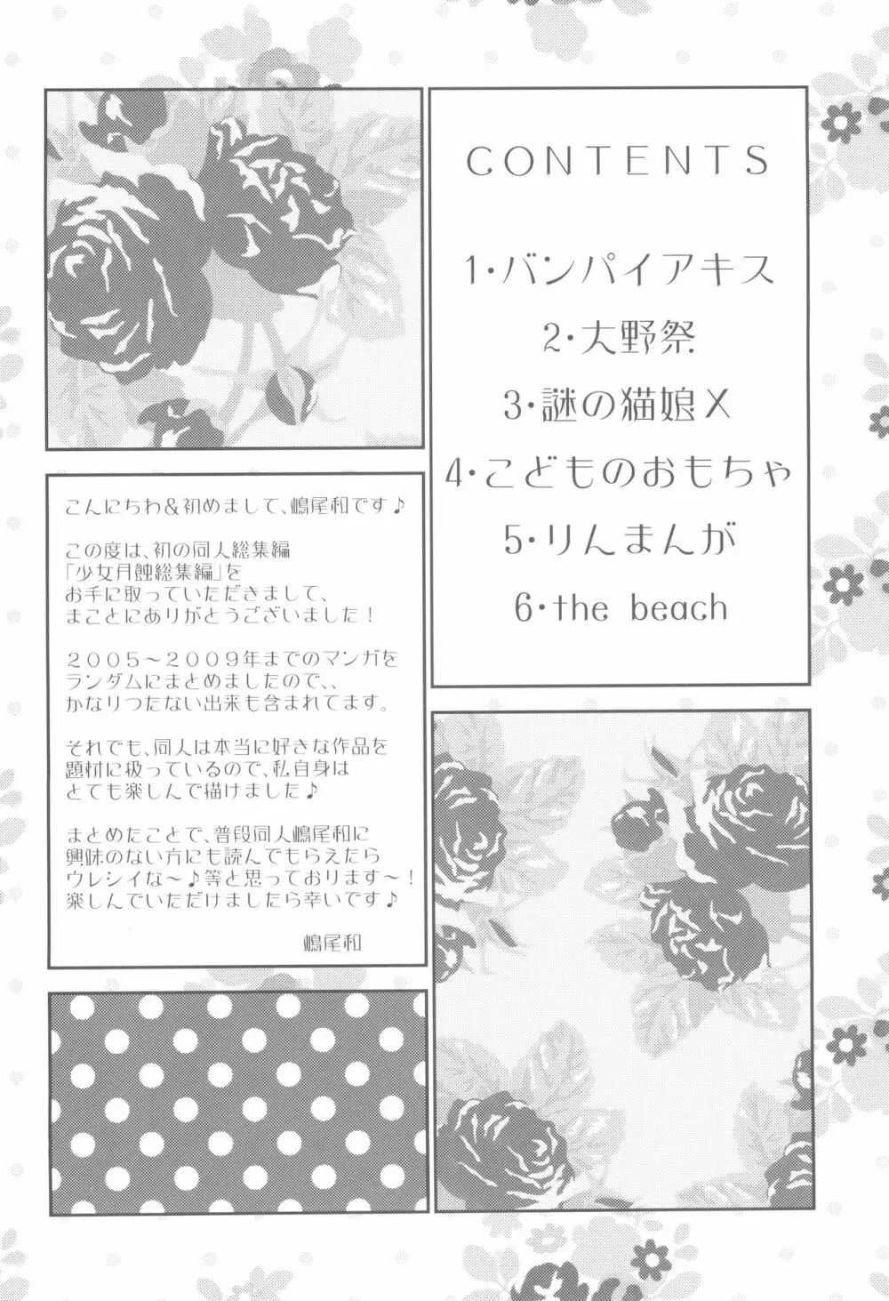 少女月蝕総集編 2005～2009 - page4
