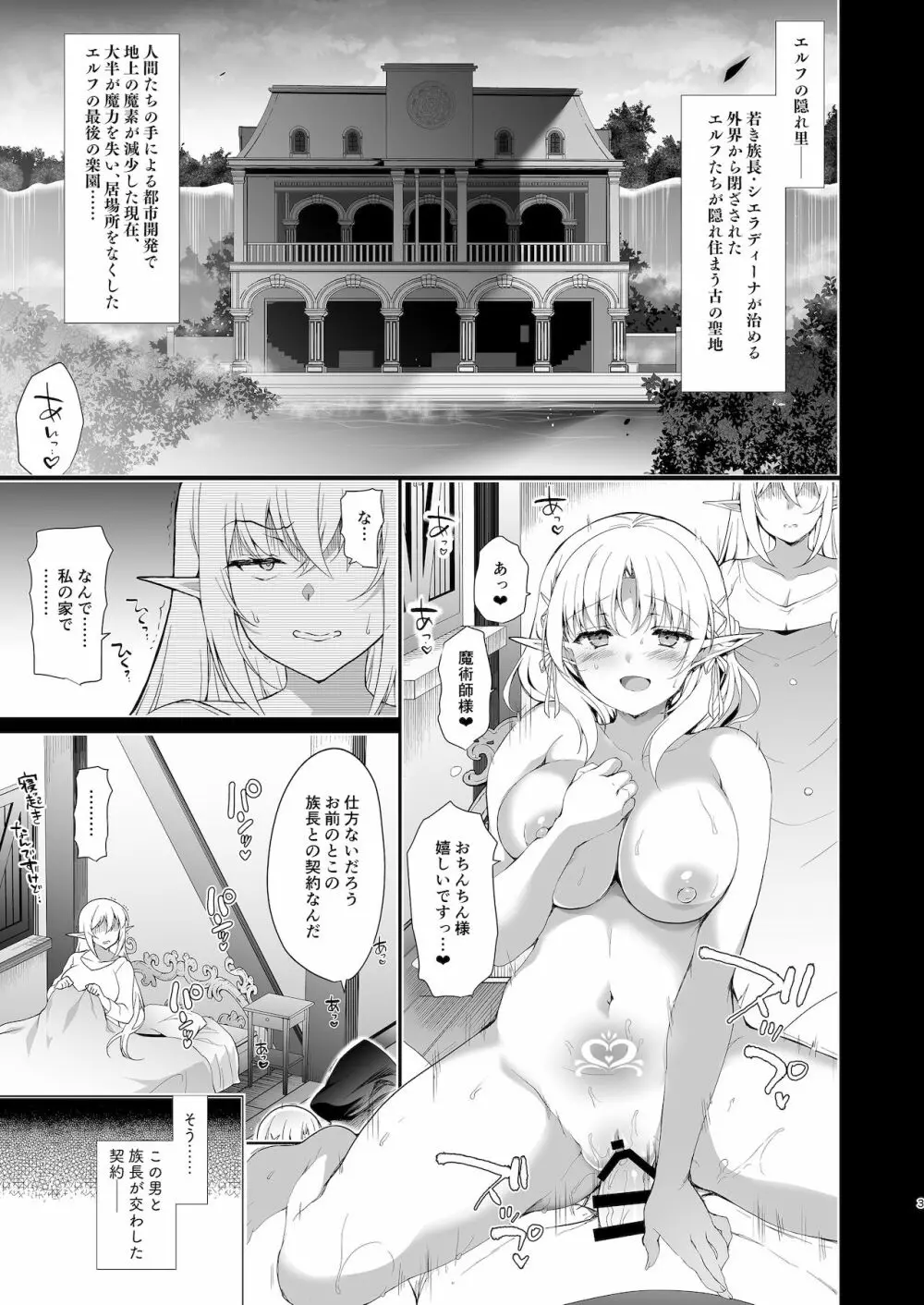 エルフに淫紋を付ける本 LEVEL:4 - page4