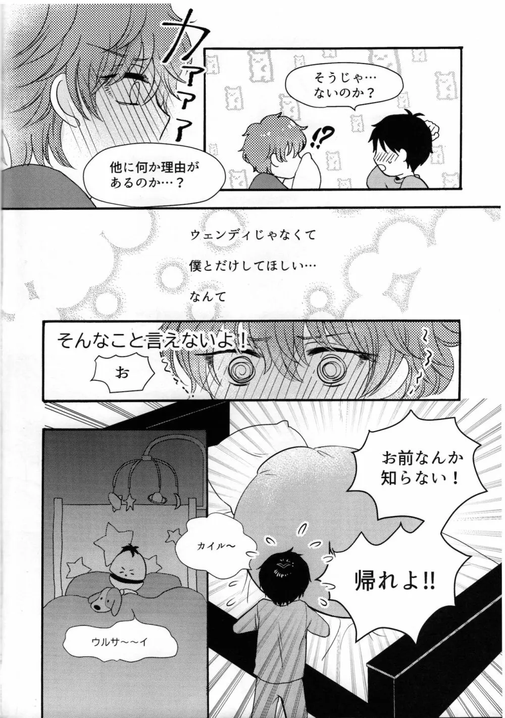 マイ・ペンデュラムSBF - page15