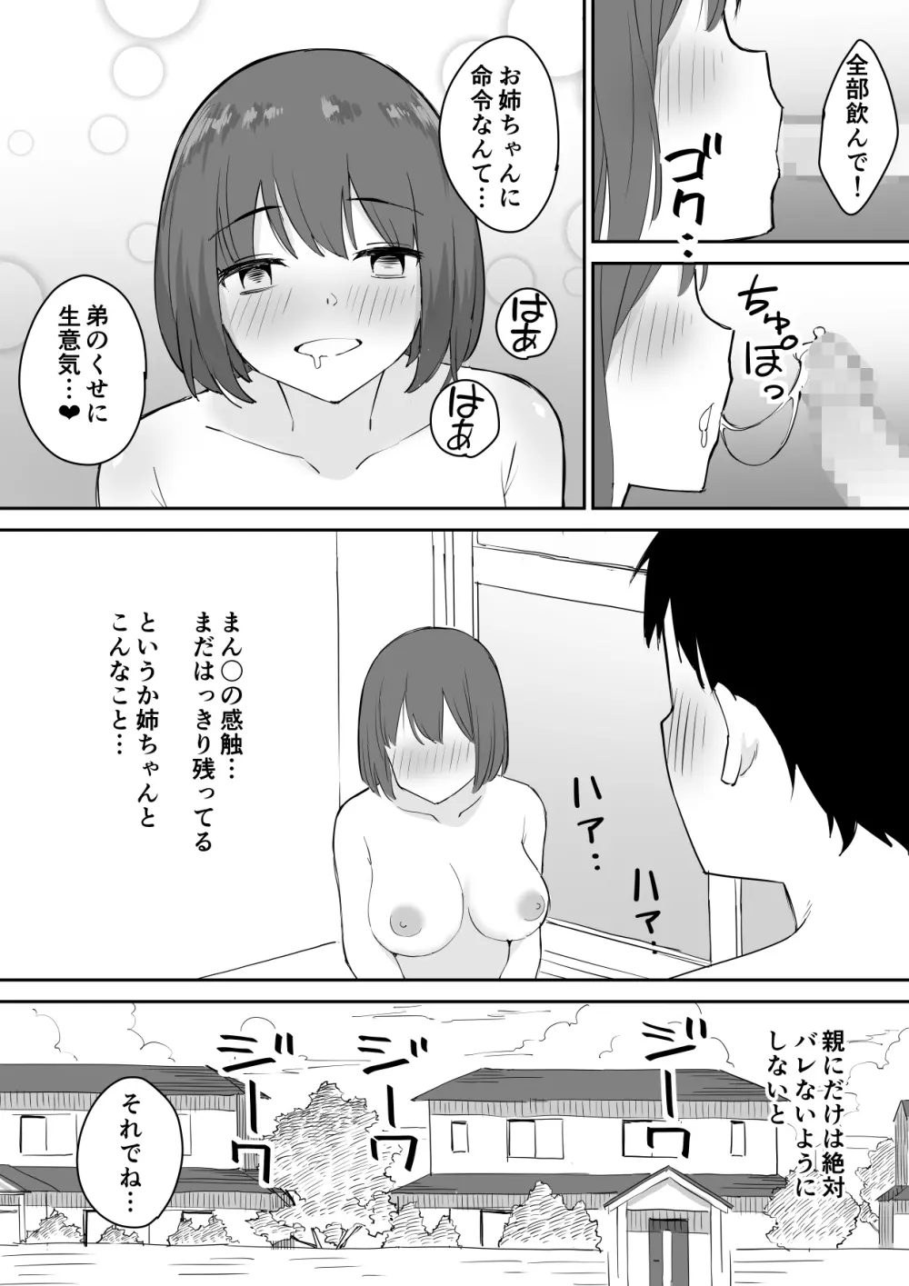 親の再婚で出来た姉があまりに無防備だったので、とりあえず犯してみた。 - page20