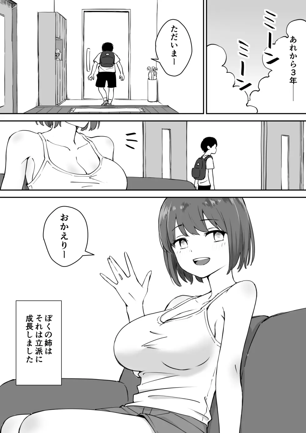 親の再婚で出来た姉があまりに無防備だったので、とりあえず犯してみた。 - page3