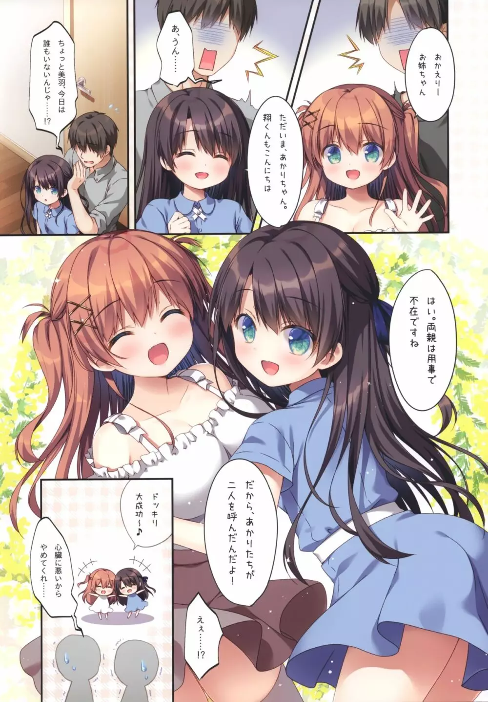 双子姉妹の満たし方1～もしもしえっち編～ - page4