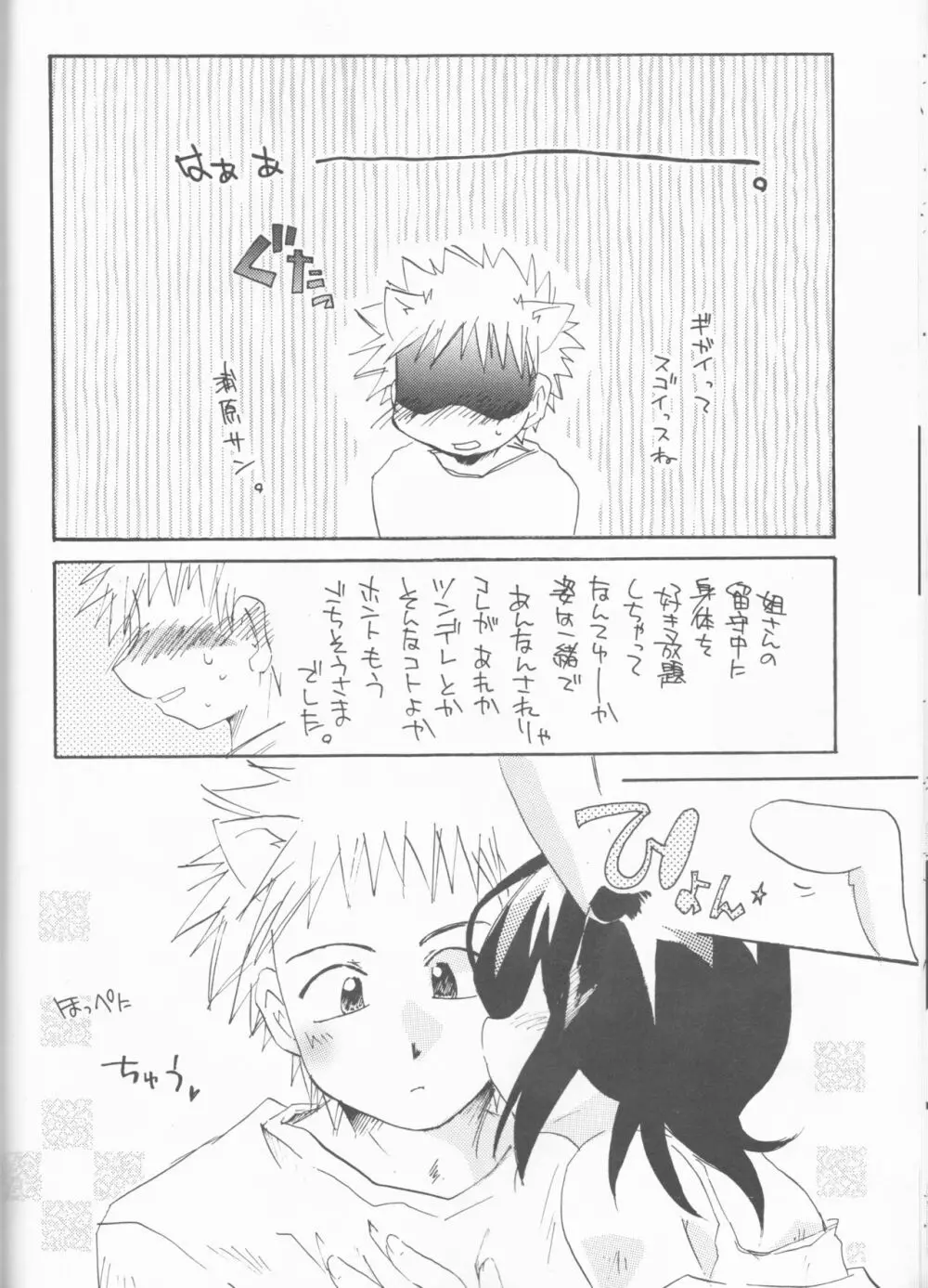 ゴシュジン様にはナイショの話 - page27