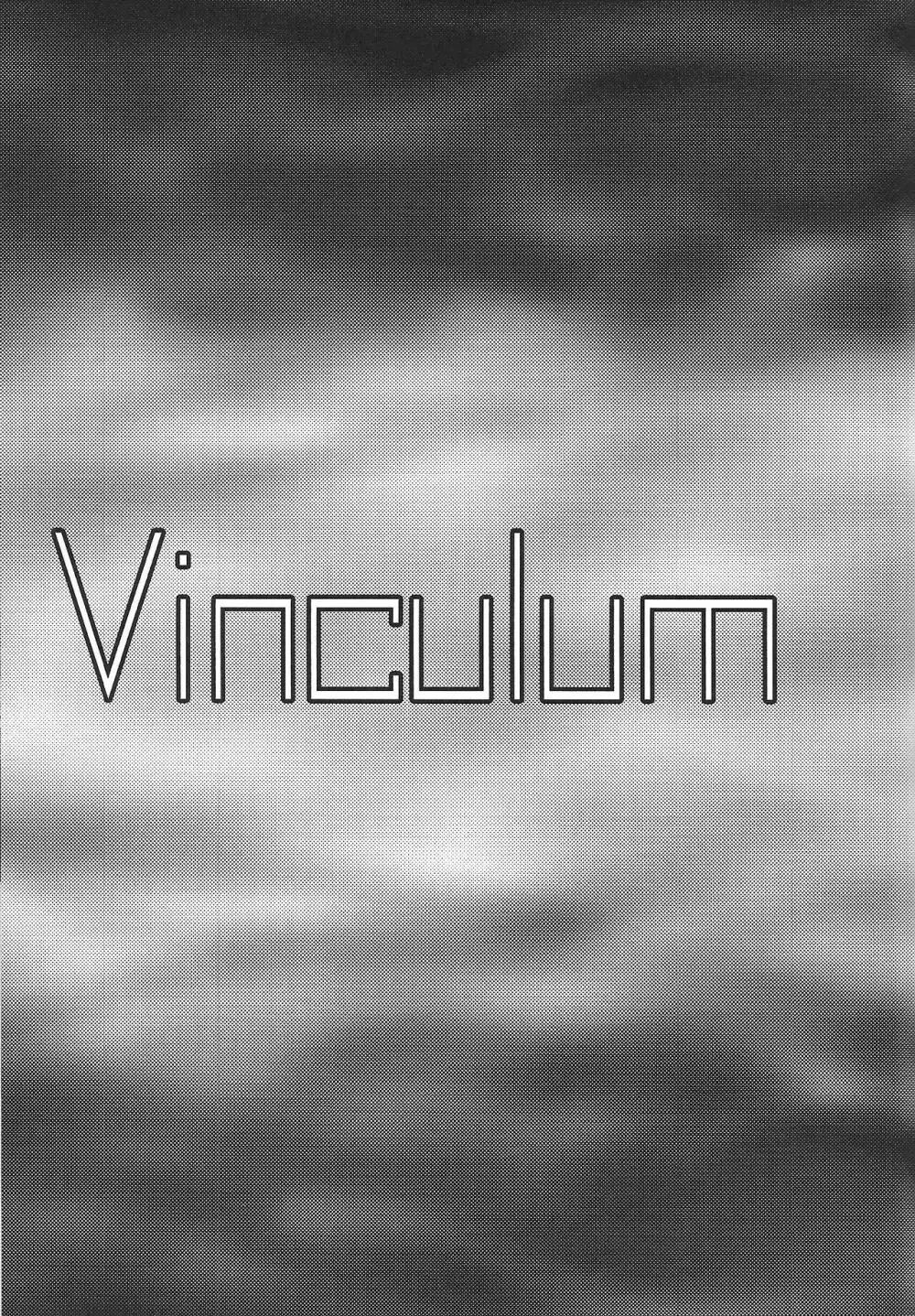 Vinculum - page6