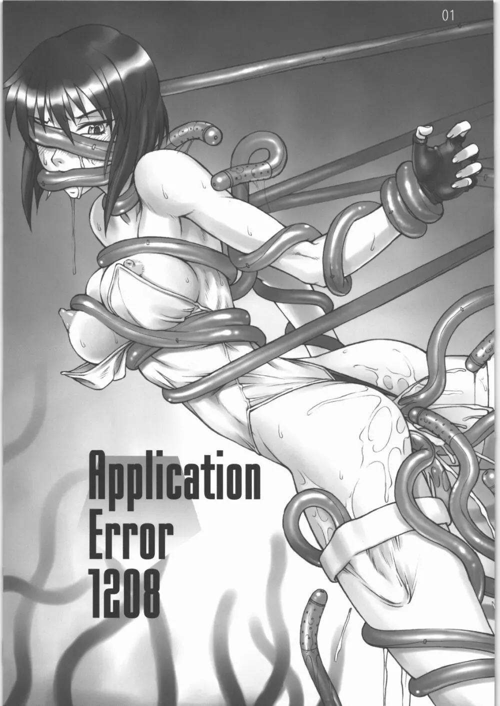 Application Error 1208 - page2