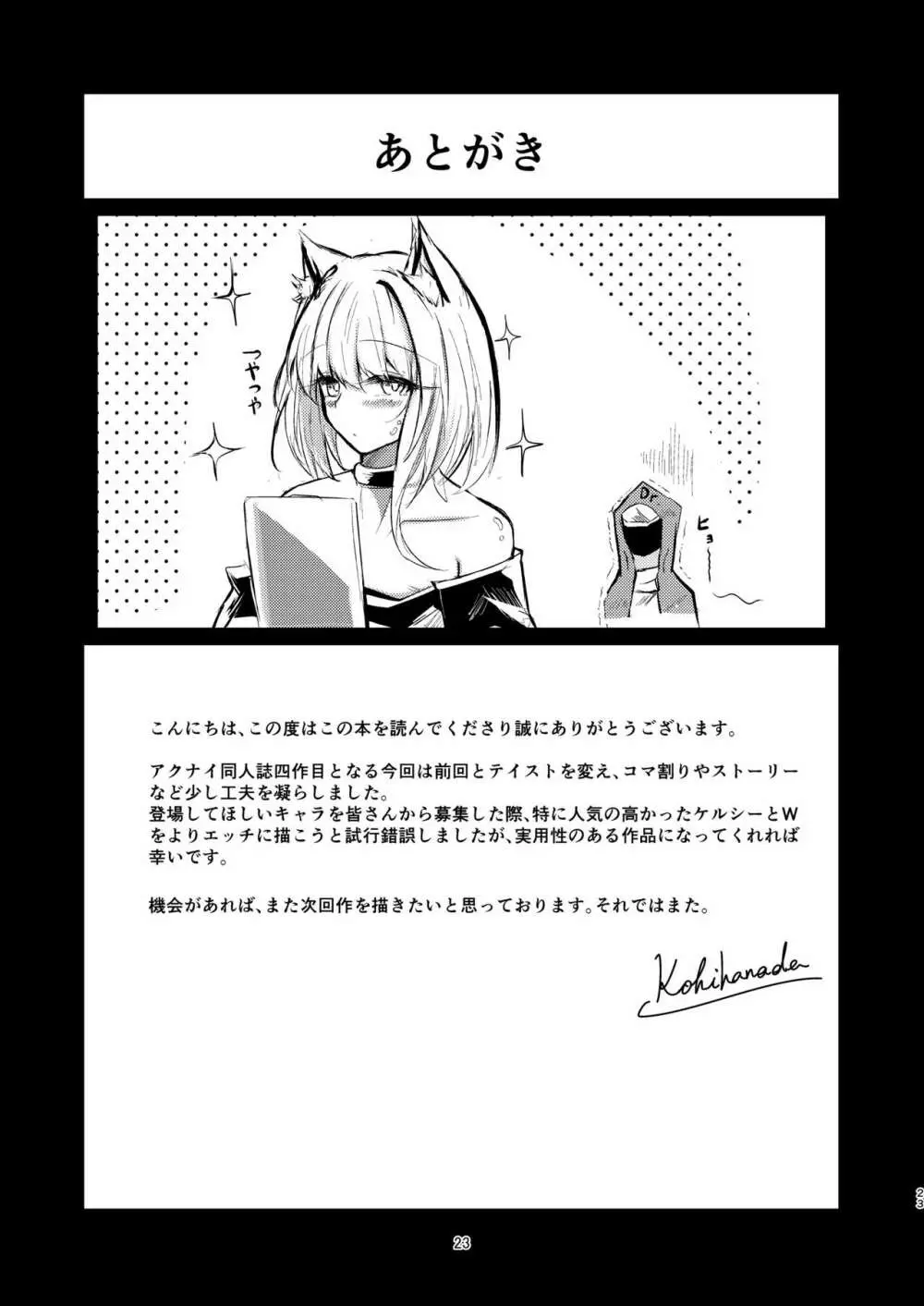 夜な夜な扇情作戦記録III - page23