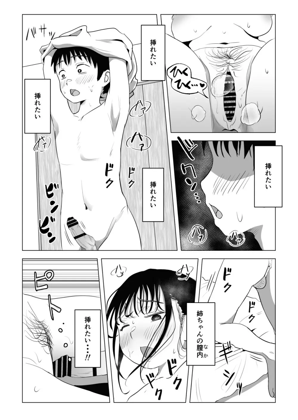 あたりまえせっくす ～姉と弟の日常～ - page67