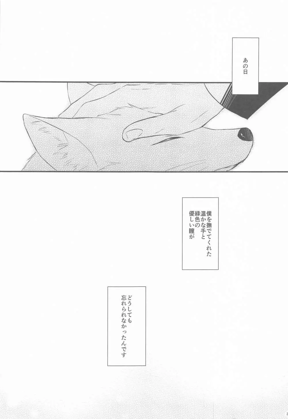 東都の狐は人に恋する - page2