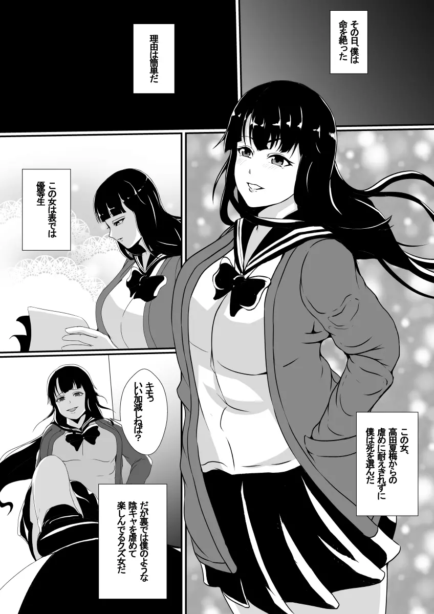 嫌いな女の人生を横取りして滅茶苦茶に… - page2