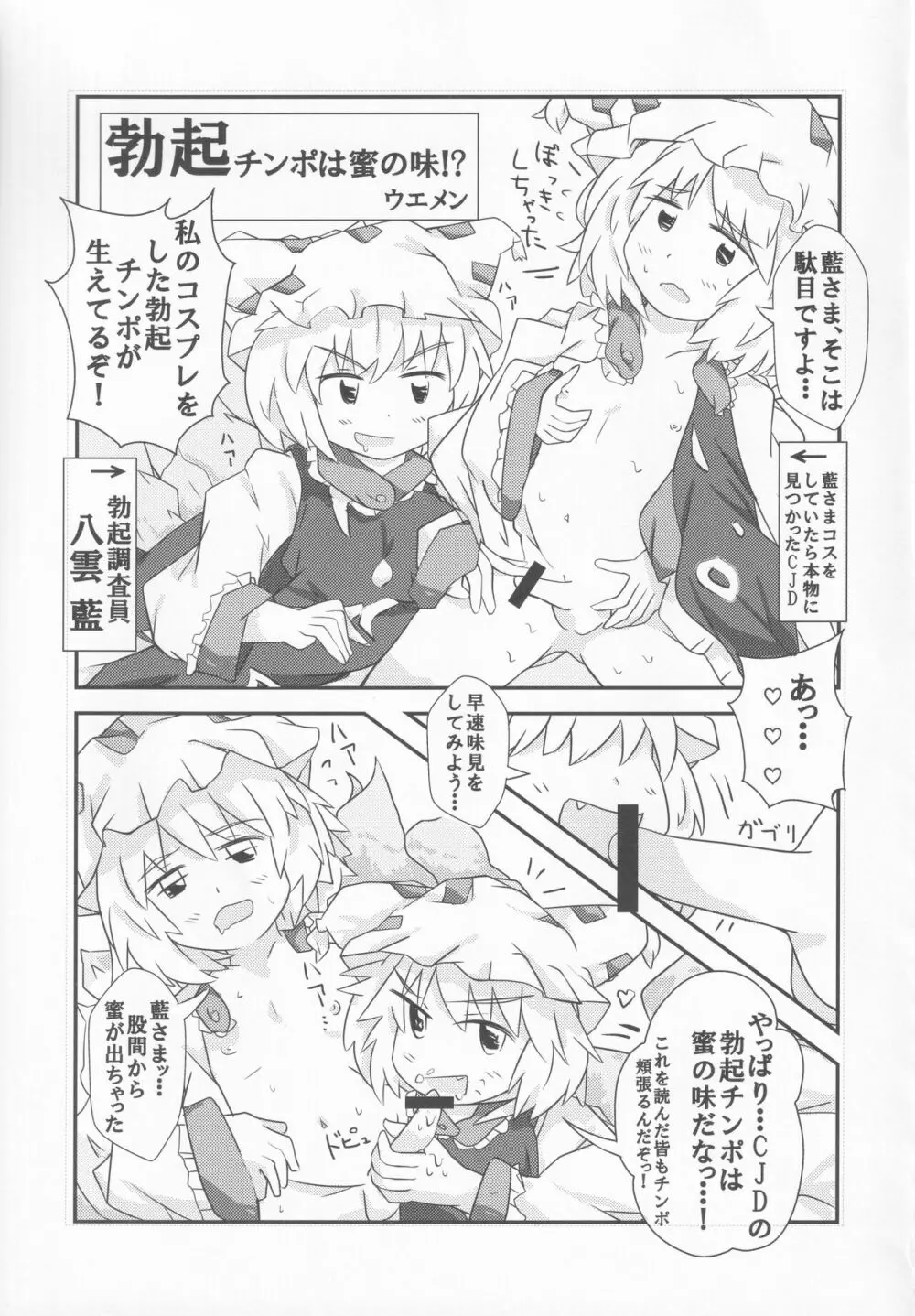 東方本物×CJD合同 幻想少女はCJDがお好き2 - page30