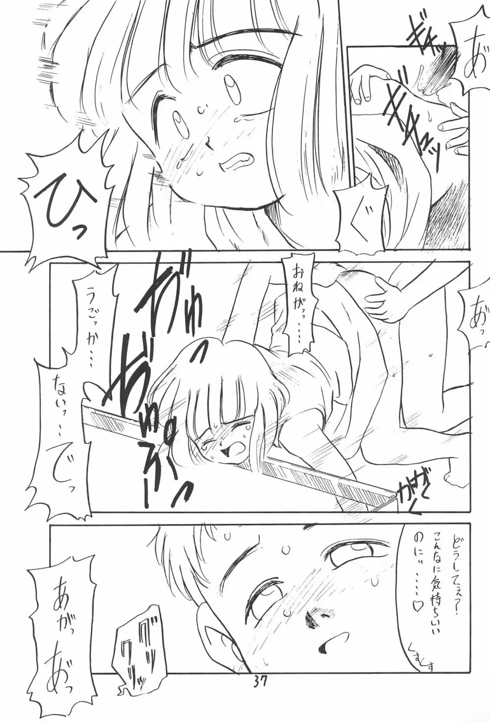 ある意味酷い本 - page37