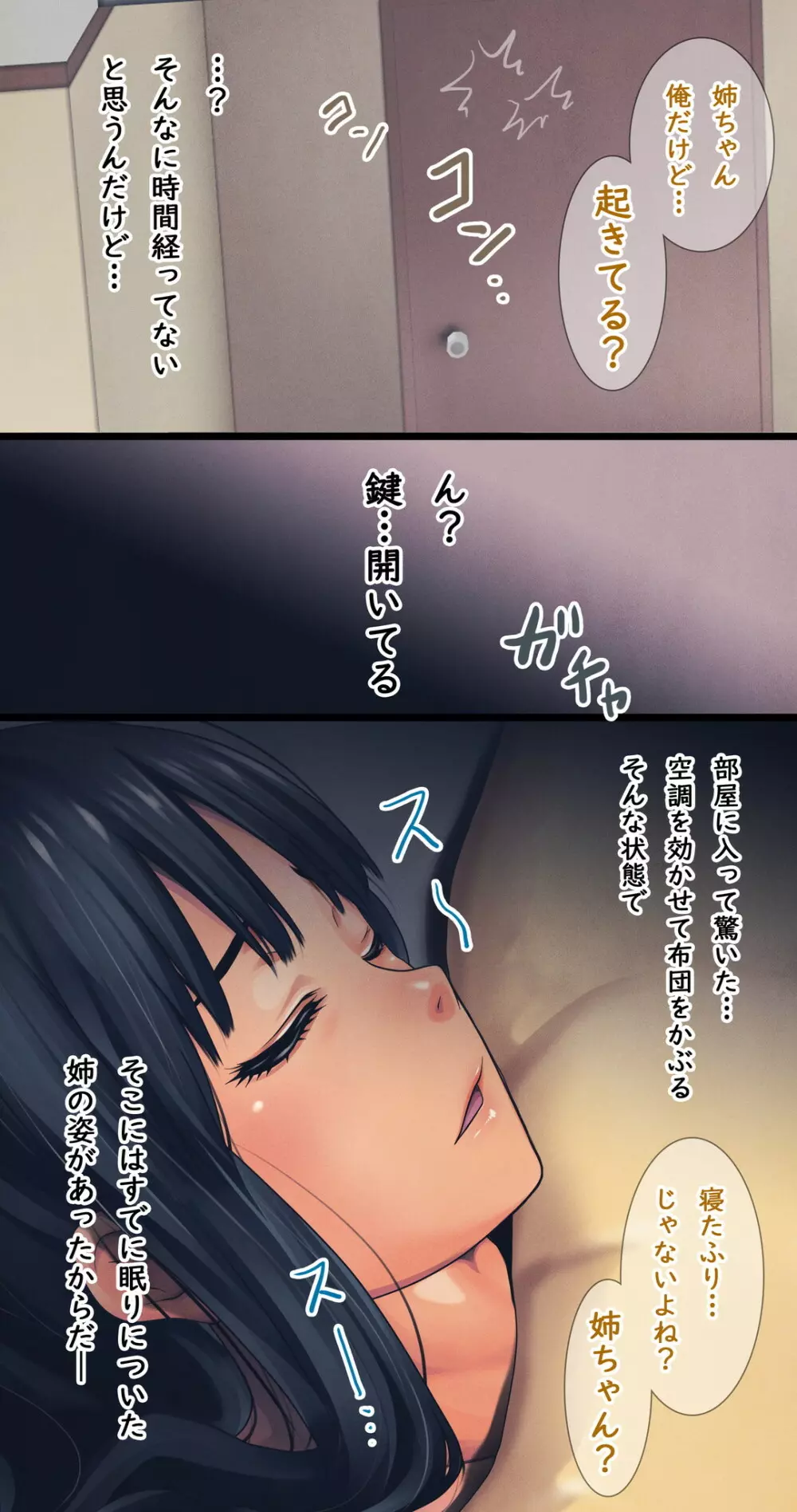 困り顔な美人の姉を襲ってやりたい放題やった話 -睡眠姦- - page23