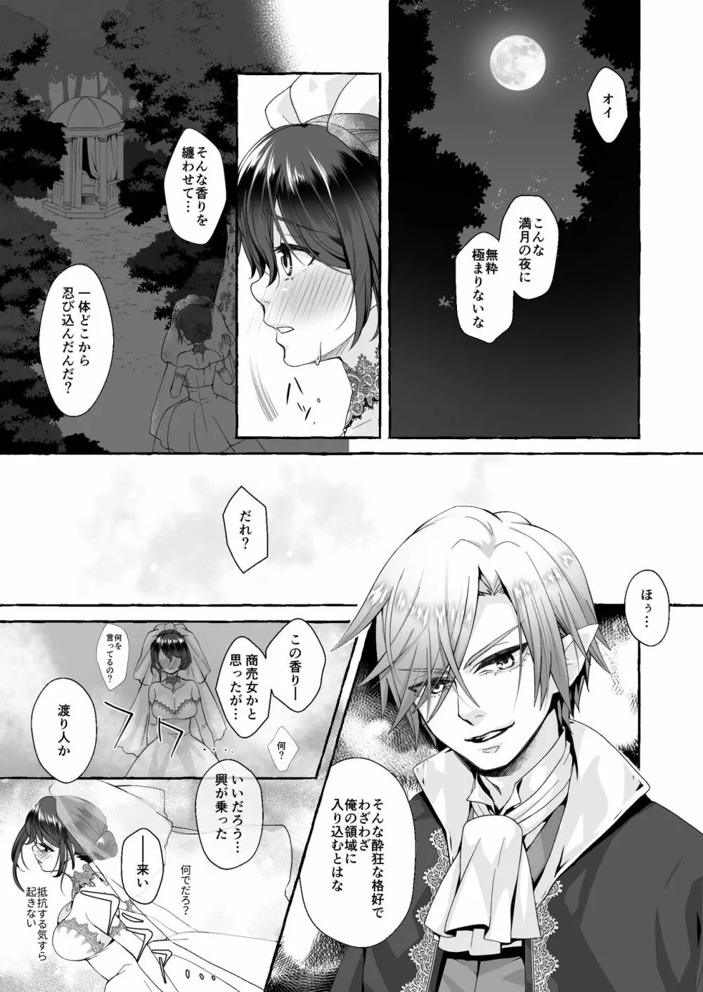 渡りの花嫁は呪いを受ける - page13