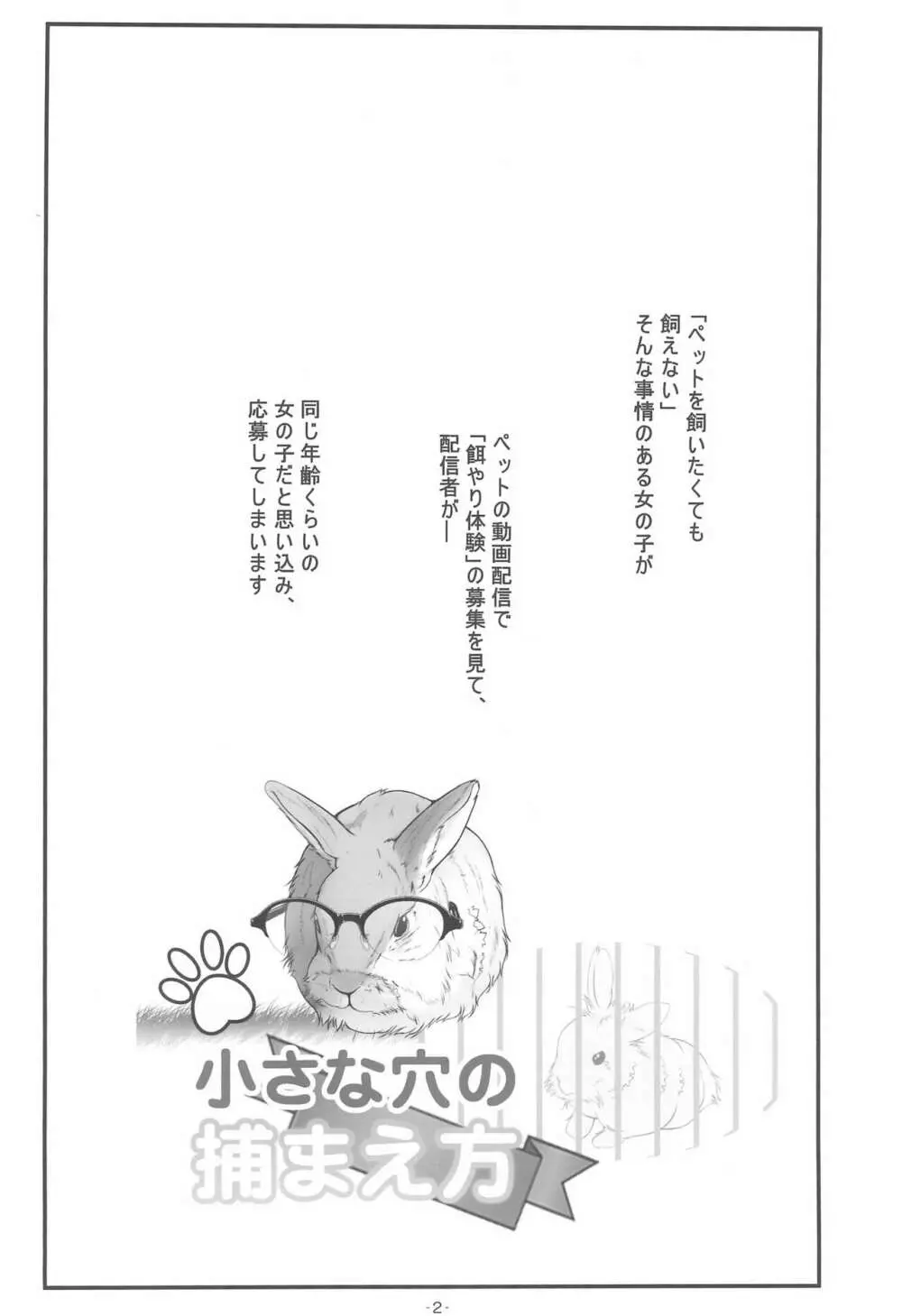 小さな穴の捕まえ方 - page4