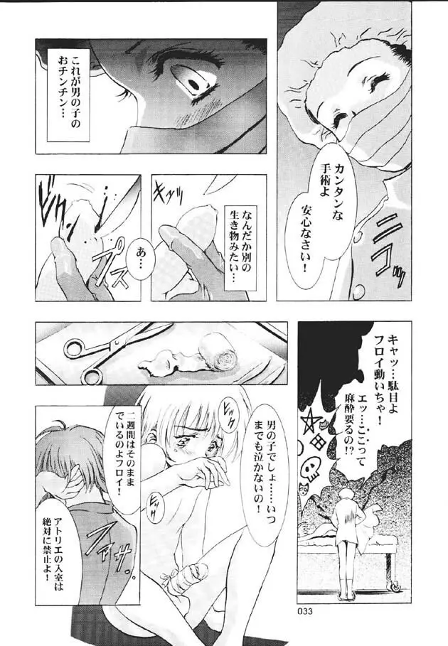 (C60) [片励会 (かわらじま晃)] 魔法飴 -Magical Candy- Magic girl Graphix (よろず) - page32