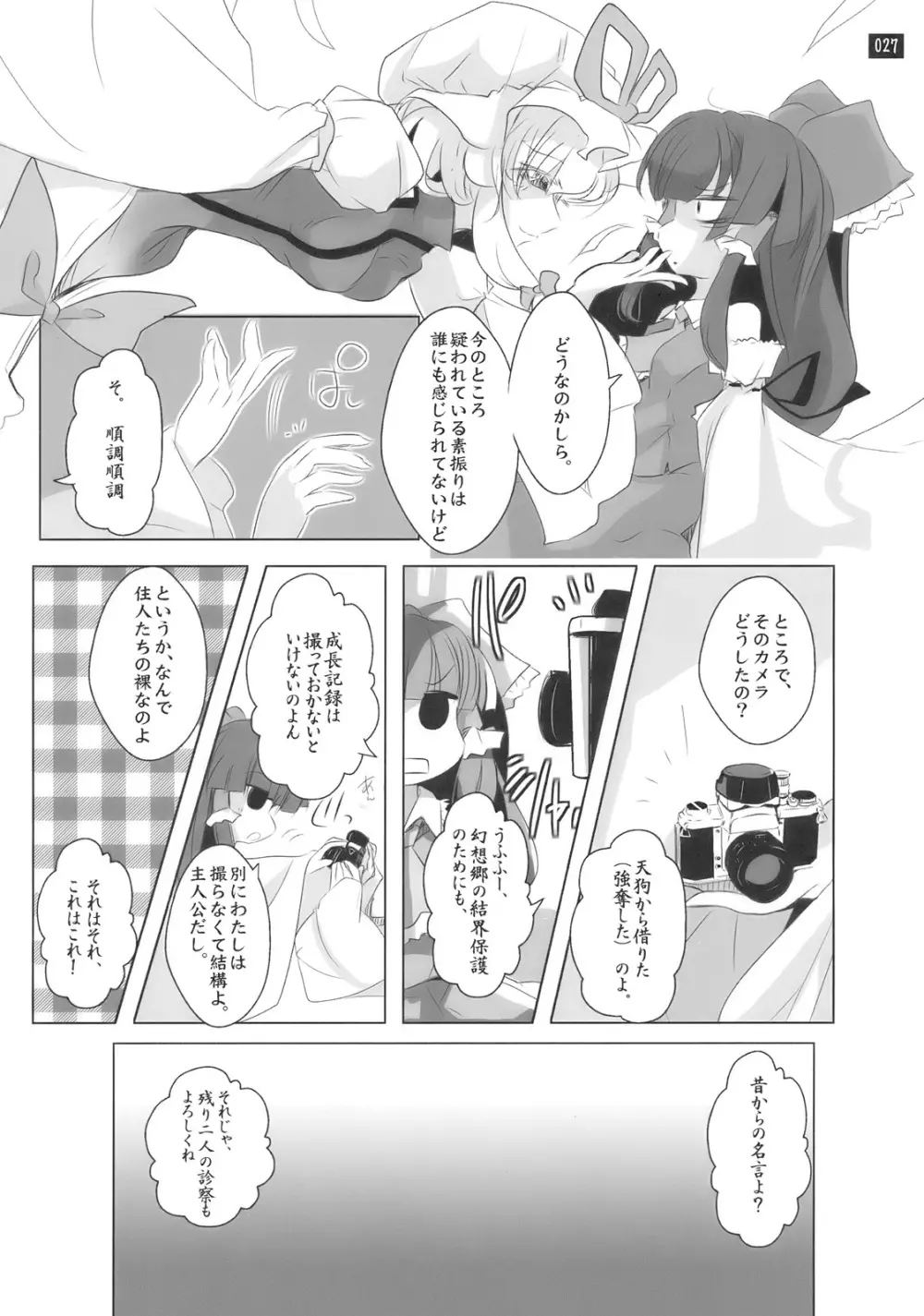 博麗神社で診察ちゅう - page27