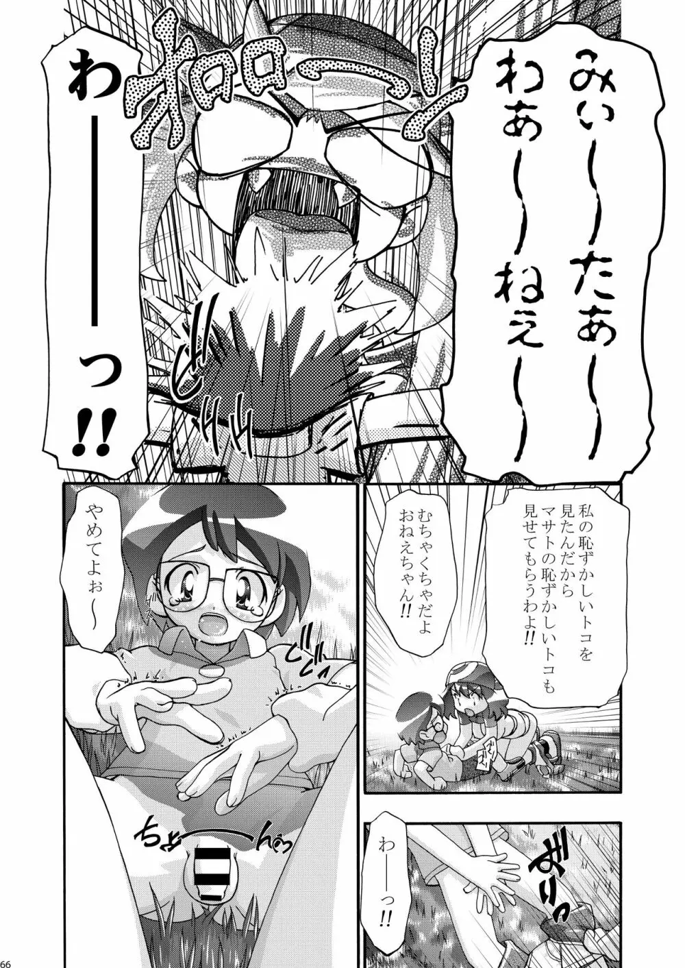 PMGALS総集編 - page66