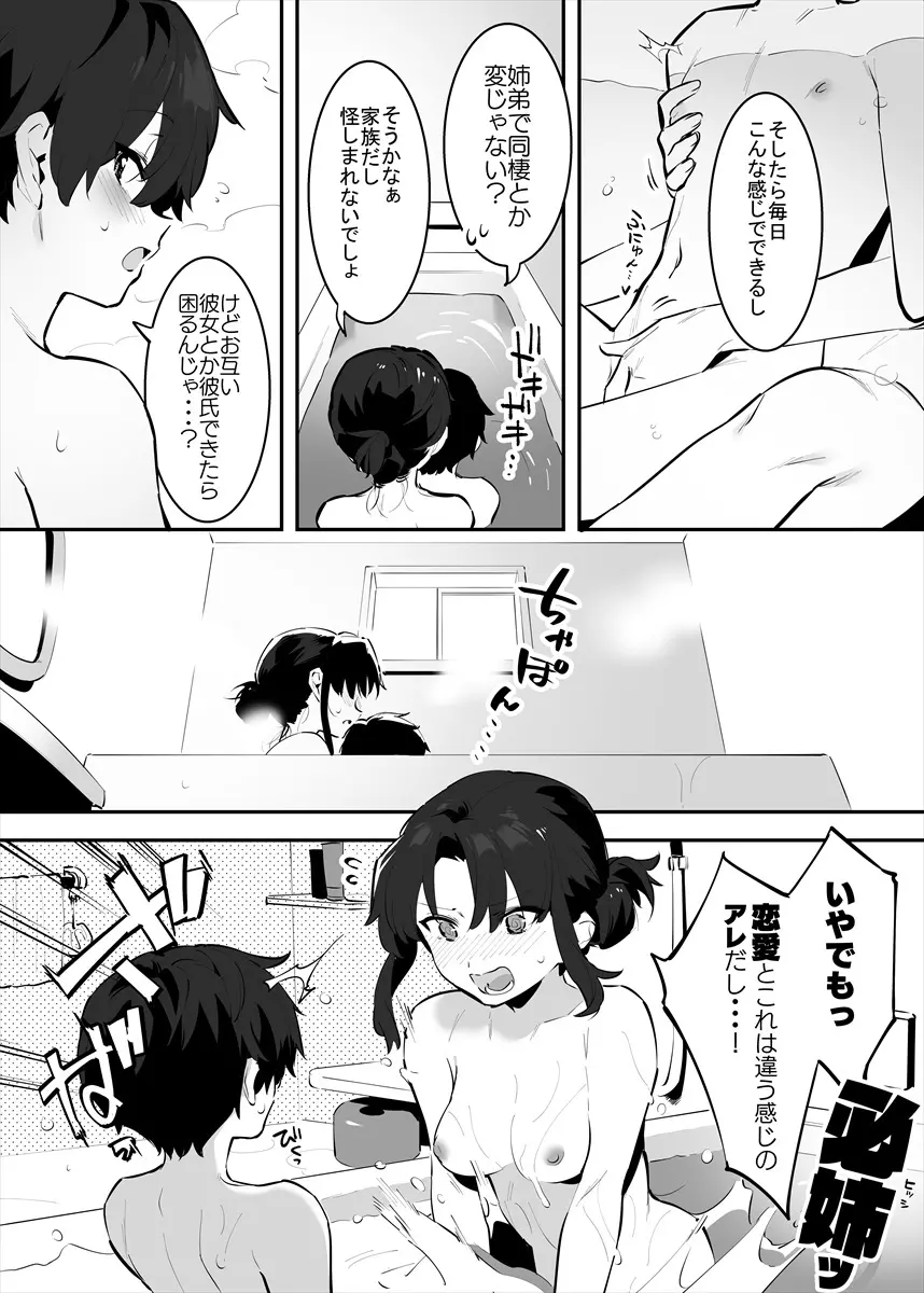 してる姉弟の休日 - page36