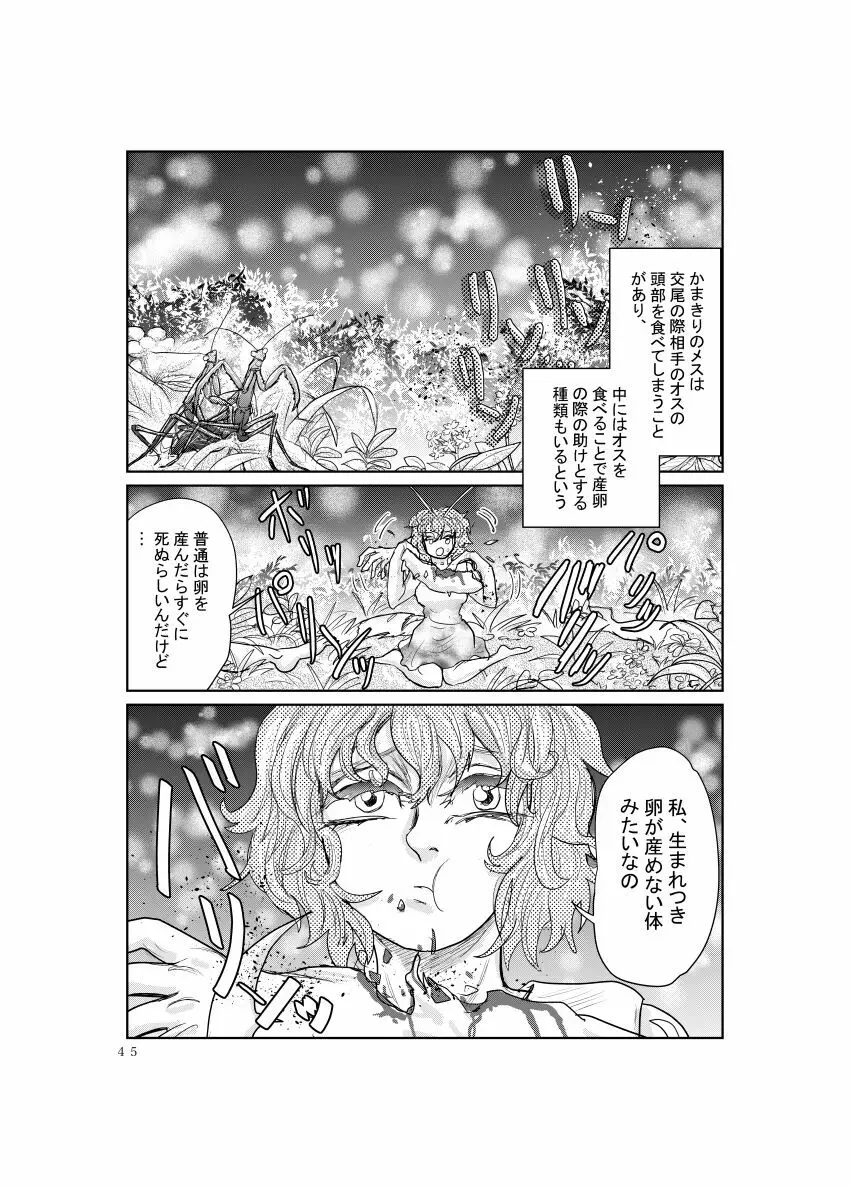 めすかまきり - page3