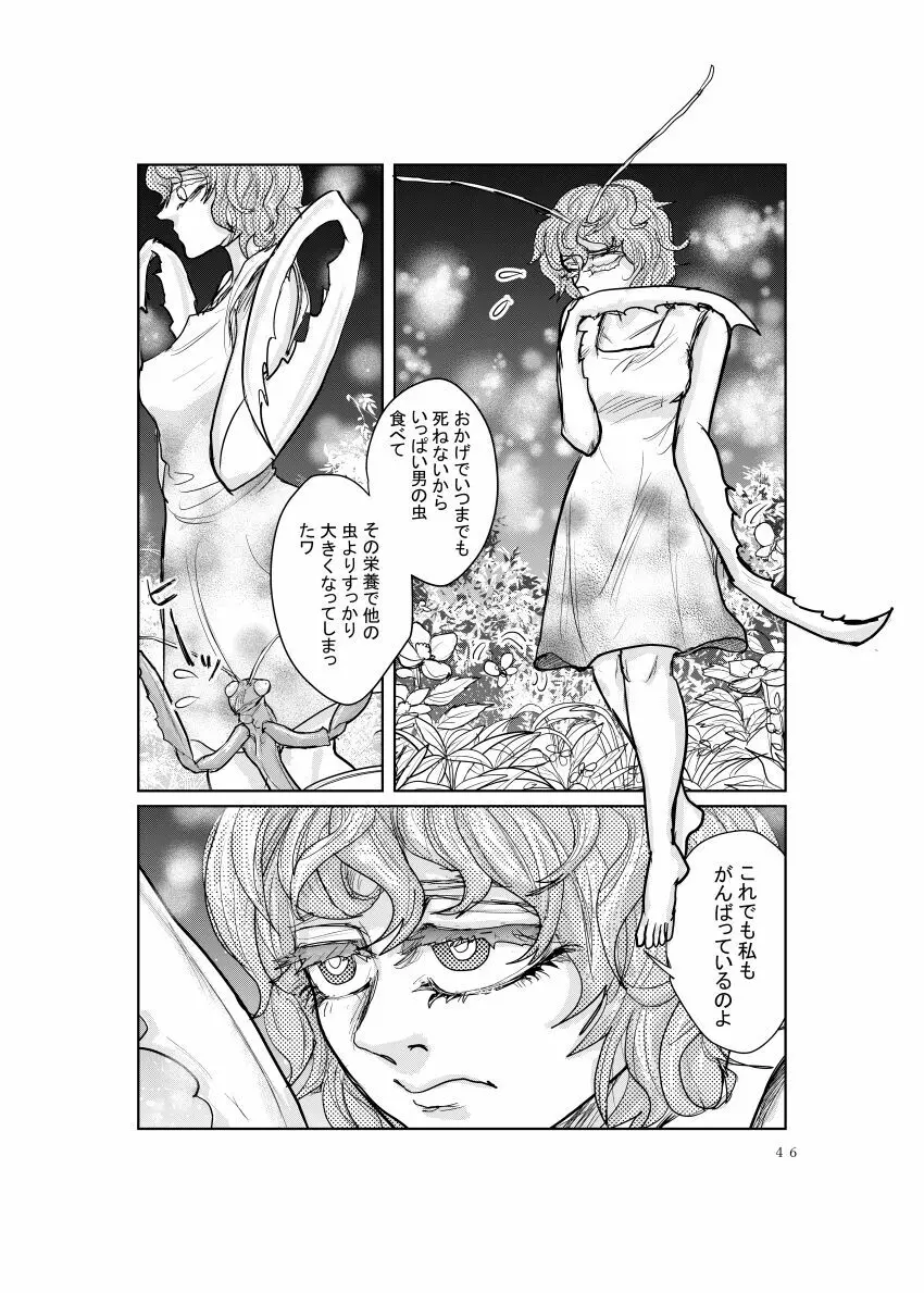 めすかまきり - page4