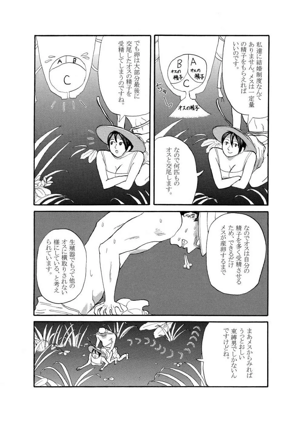 [動物性生活図鑑」シリーズ カメムシ - page4