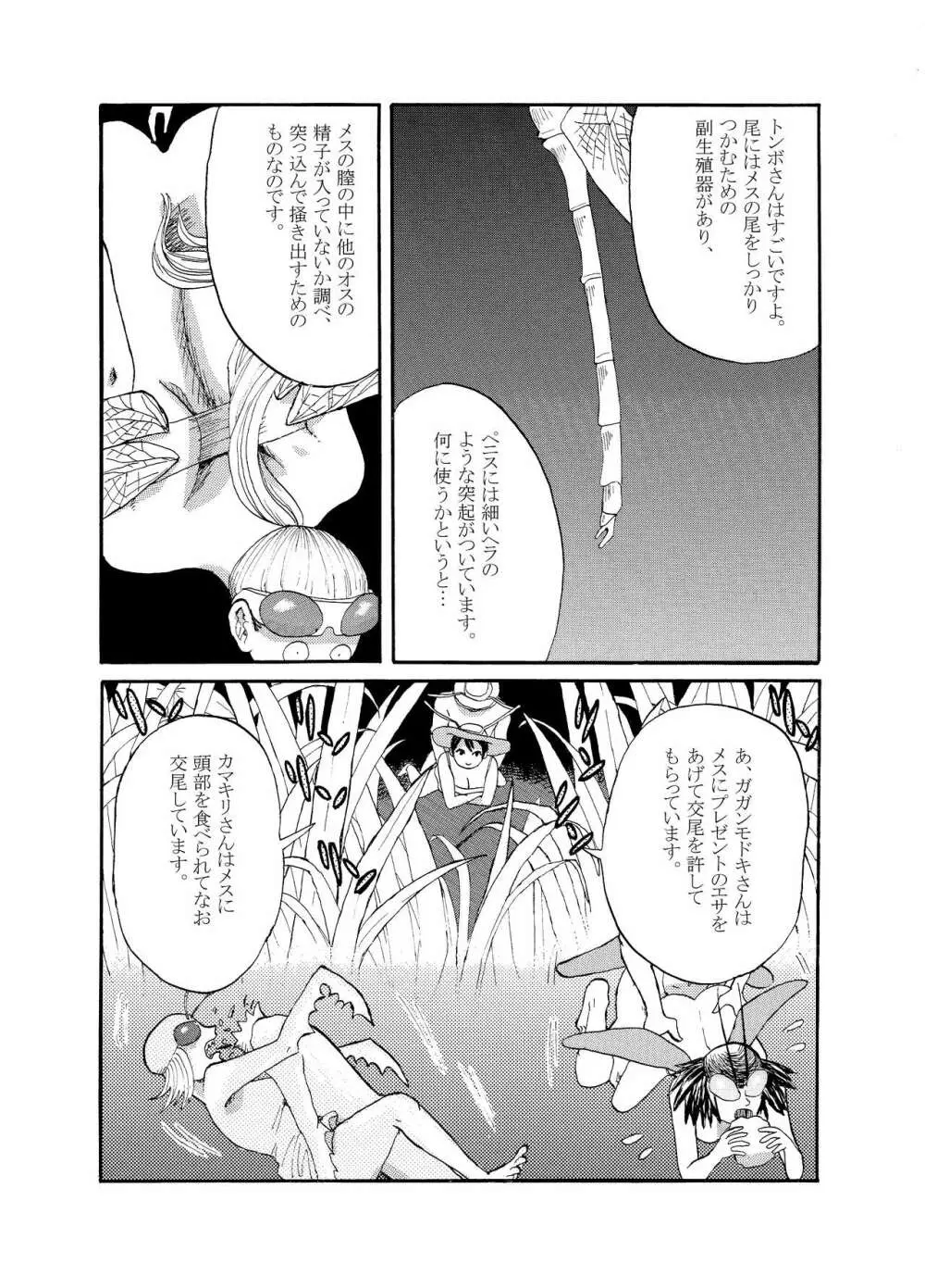 [動物性生活図鑑」シリーズ カメムシ - page6