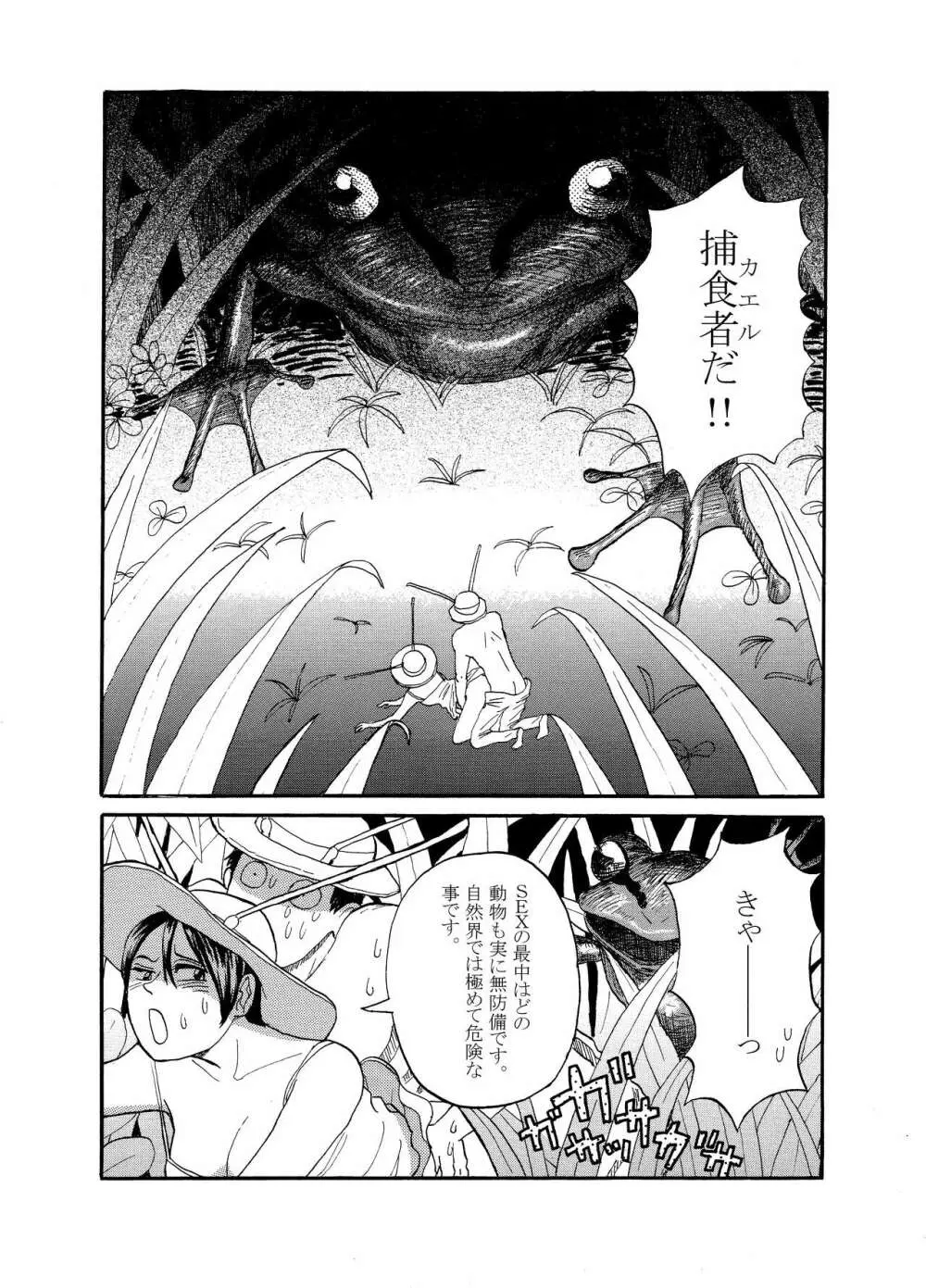 [動物性生活図鑑」シリーズ カメムシ - page8