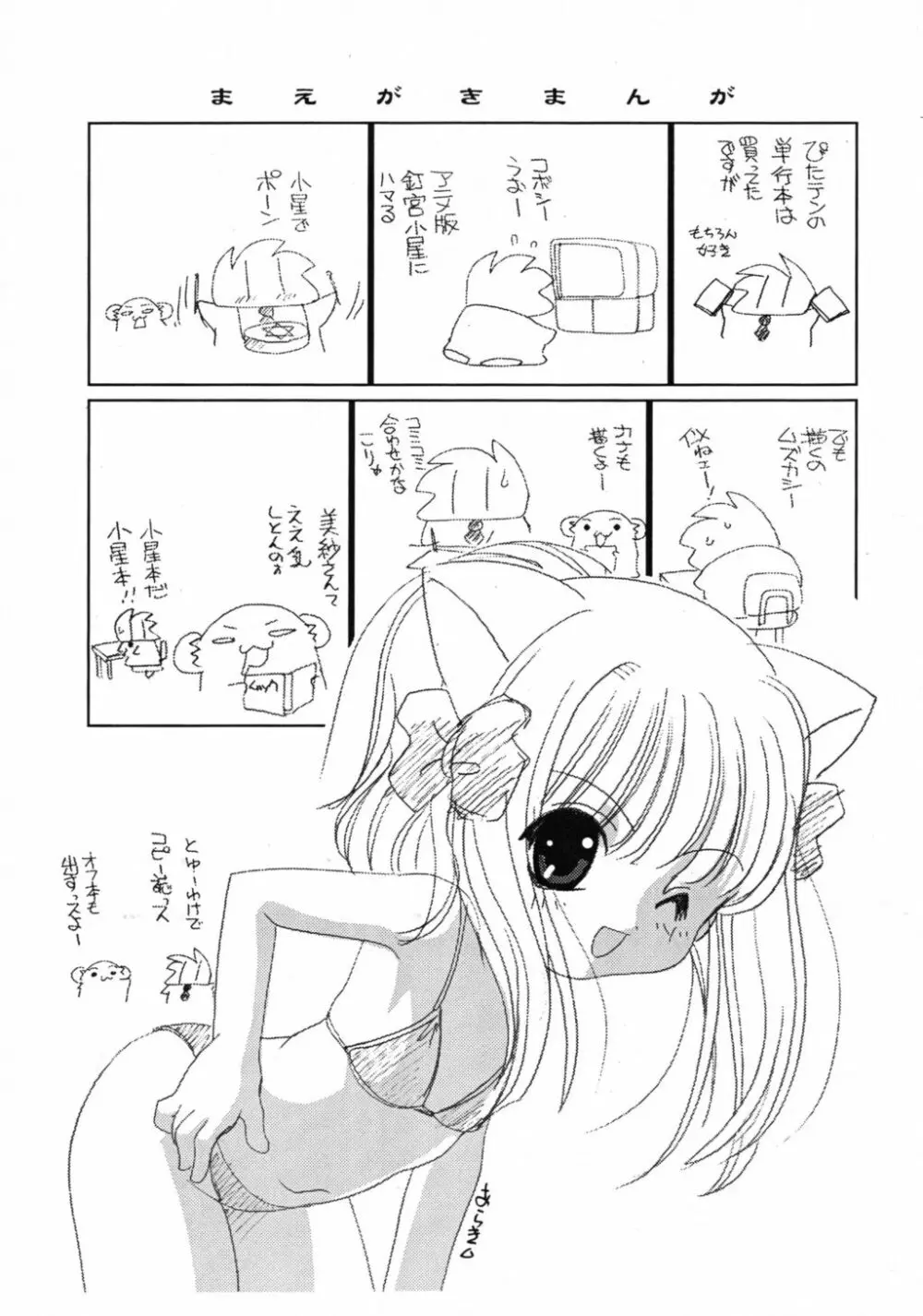 小星のいじり方 - page3