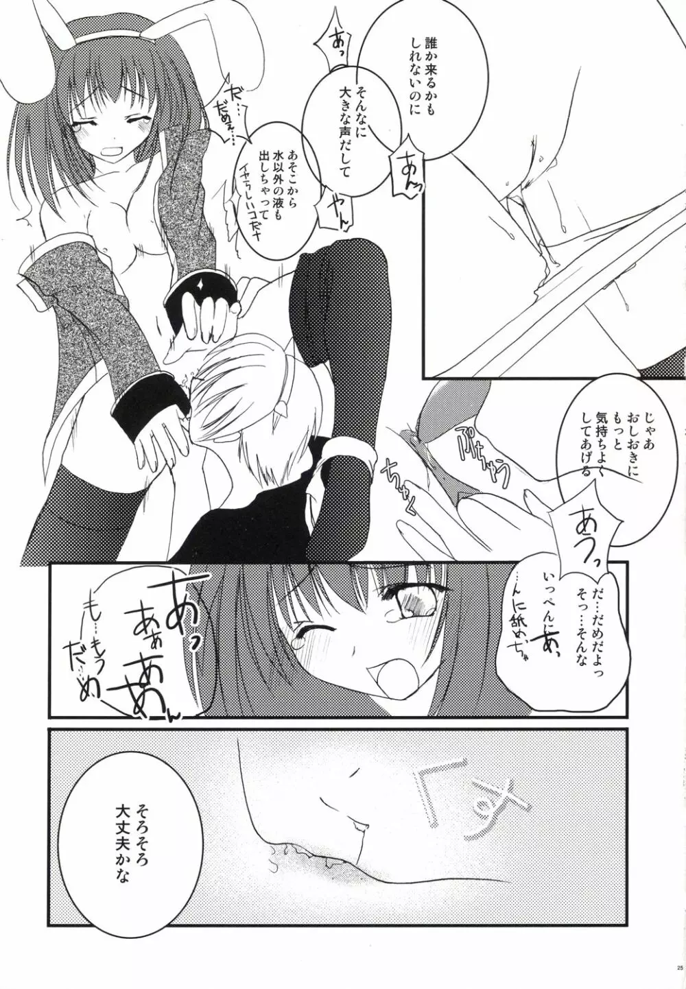 アコたん騎士たんの事情 ～壁する側と壁される側のカンケイ～ - page25