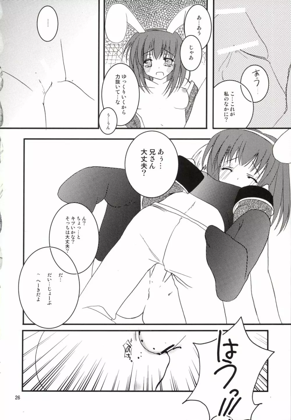 アコたん騎士たんの事情 ～壁する側と壁される側のカンケイ～ - page26