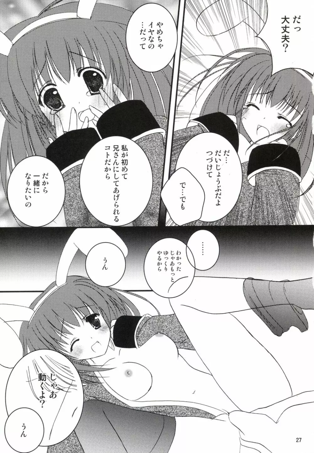 アコたん騎士たんの事情 ～壁する側と壁される側のカンケイ～ - page27