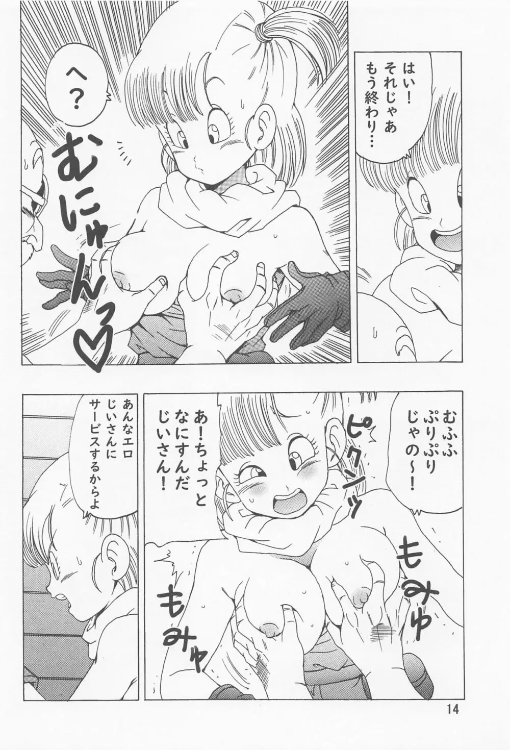 ブルマ本 ~神龍の伝説~ - page15