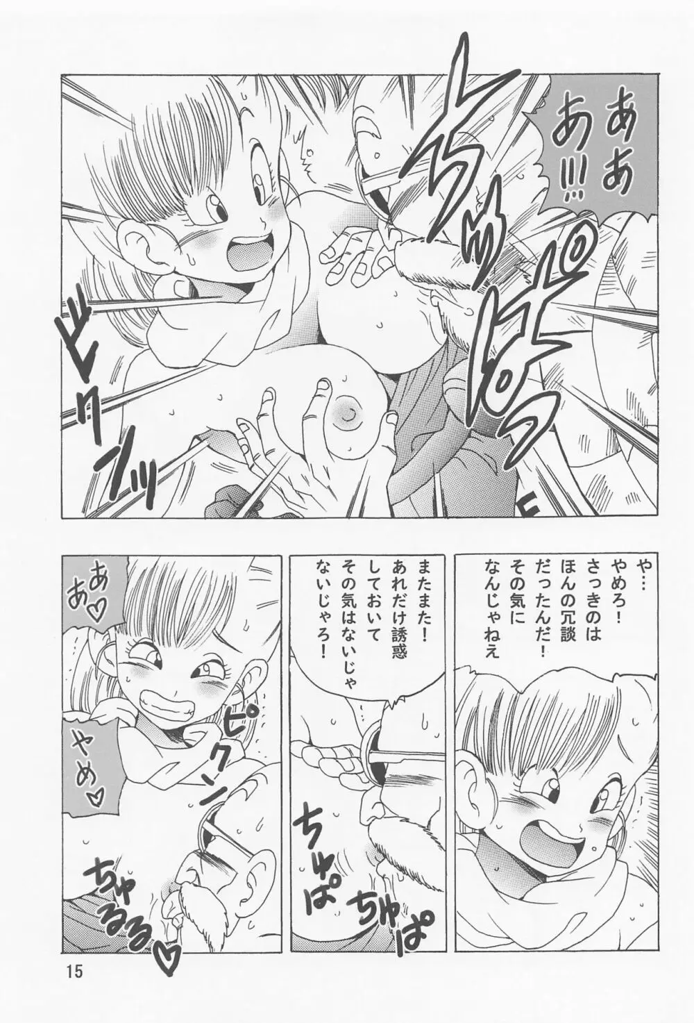 ブルマ本 ~神龍の伝説~ - page16