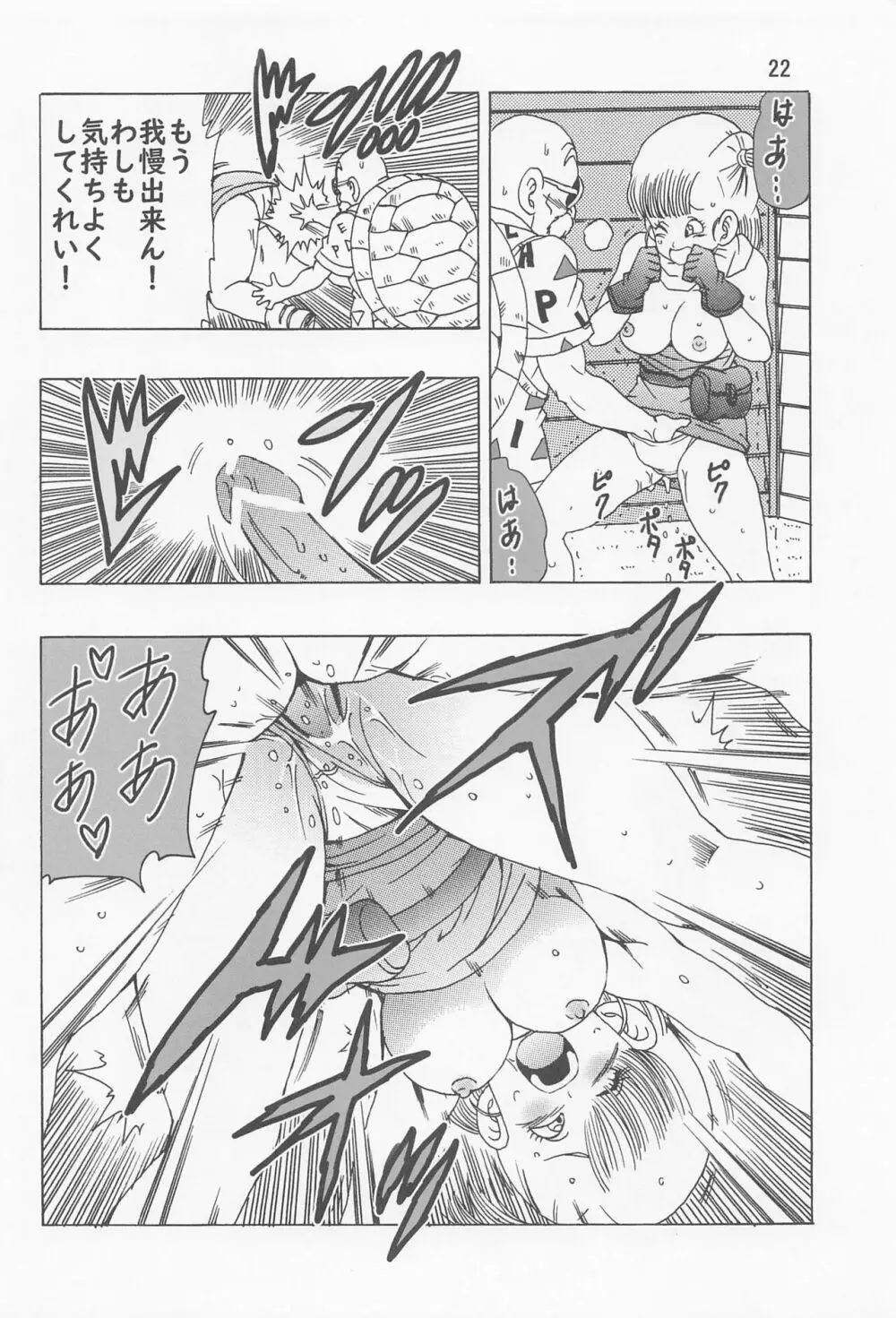 ブルマ本 ~神龍の伝説~ - page23