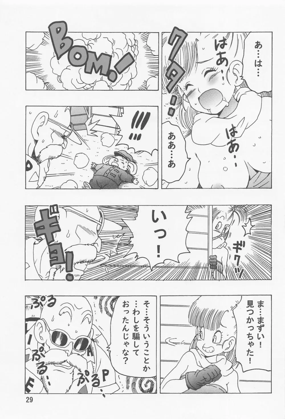 ブルマ本 ~神龍の伝説~ - page30