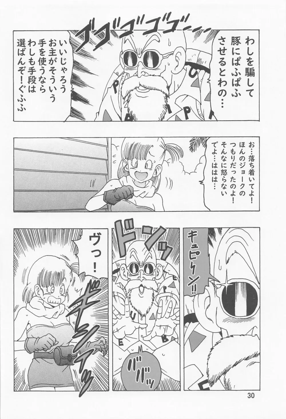 ブルマ本 ~神龍の伝説~ - page31