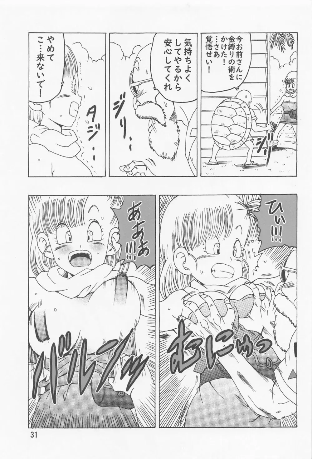 ブルマ本 ~神龍の伝説~ - page32