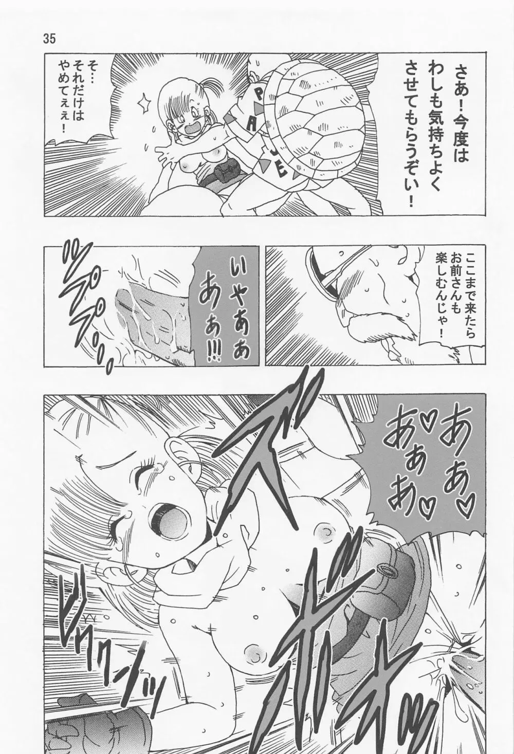 ブルマ本 ~神龍の伝説~ - page36