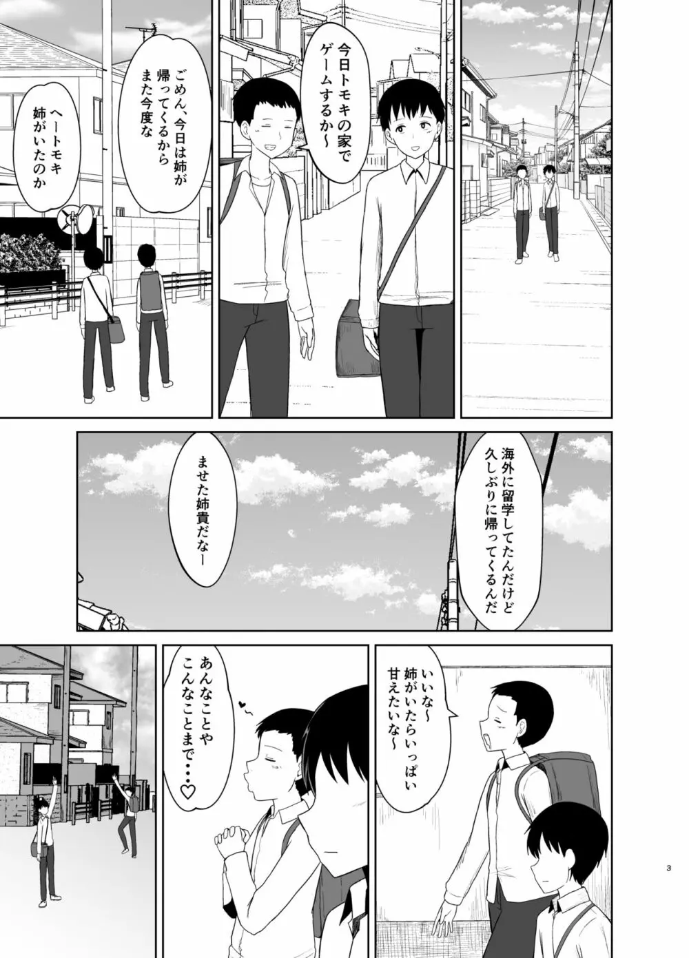 帰ってきたお姉ちゃん - page3