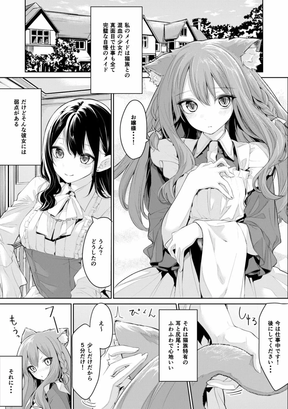 猫耳メイドさんとお嬢様