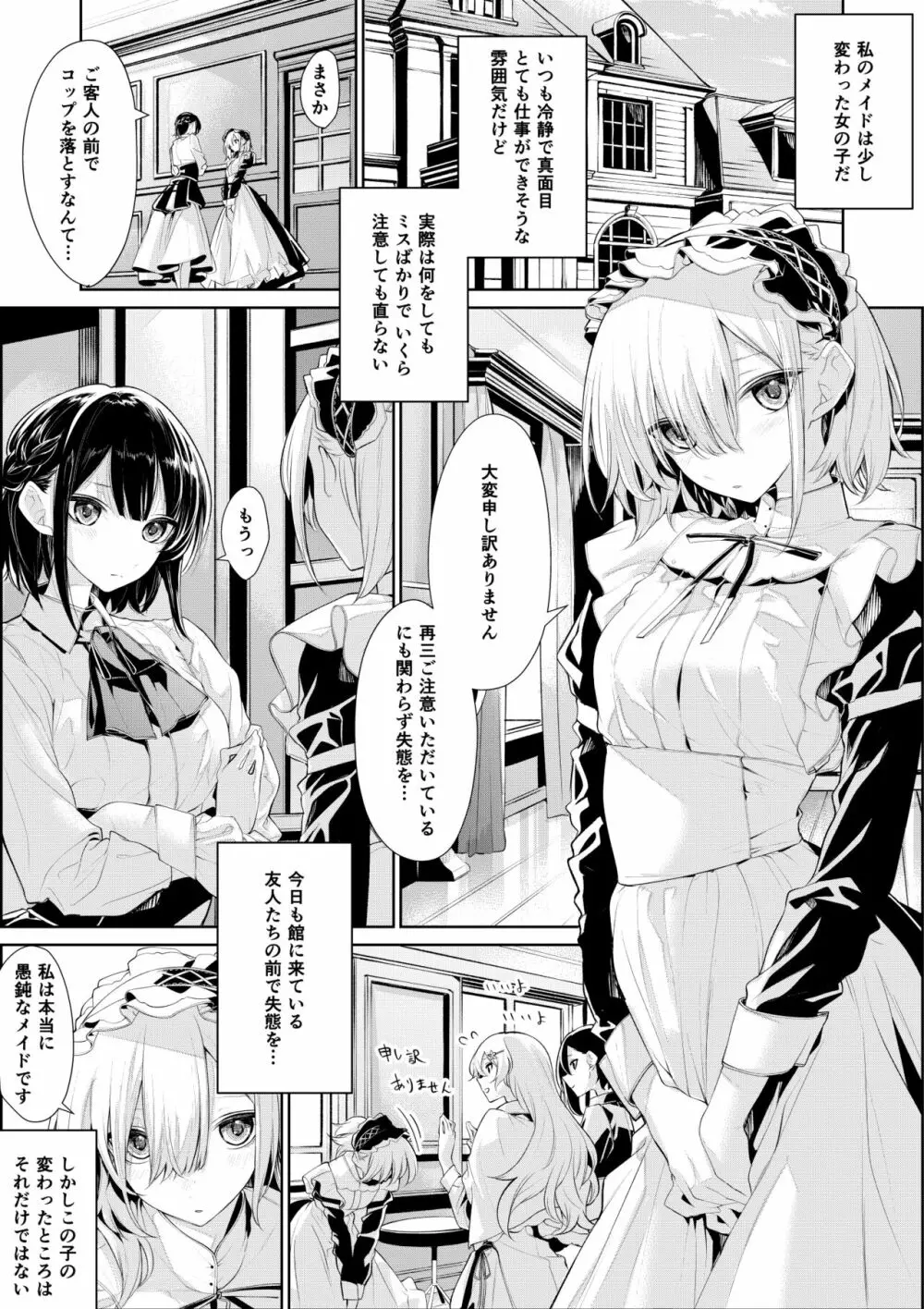 お嬢様とメイドさんのいけないお仕置き - page1