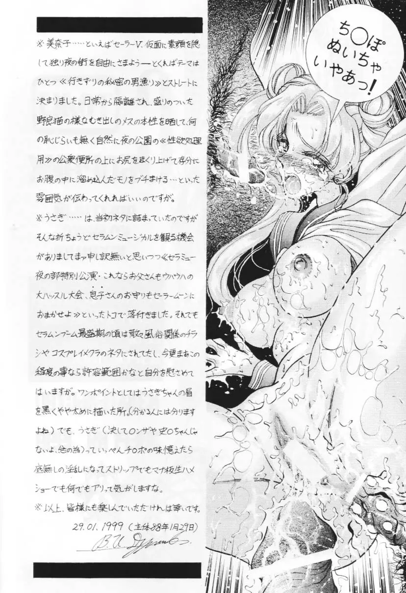 (サンクリ) [エネルギヤ出版所 (ロシヤの脱走兵)] COLLECTION OF -SAILORMOON- ILLUSTRATIONS FOR ADULT Vol.1 (美少女戦士セーラームーン) - page3