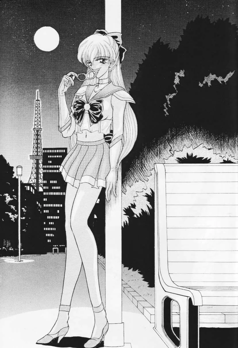 (サンクリ) [エネルギヤ出版所 (ロシヤの脱走兵)] COLLECTION OF -SAILORMOON- ILLUSTRATIONS FOR ADULT Vol.1 (美少女戦士セーラームーン) - page6