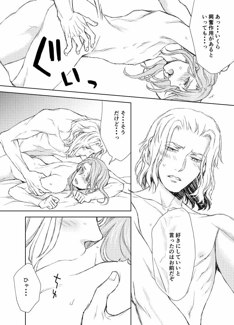 続き・エメヒュ編 - page14