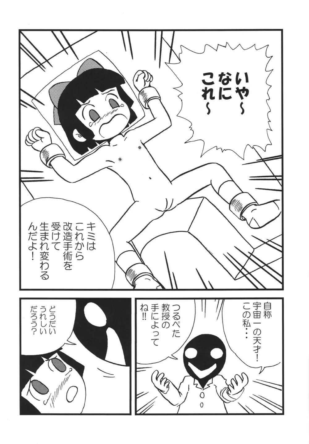 つるぺた研究報告書「つるぺた教団の野望」 - page11