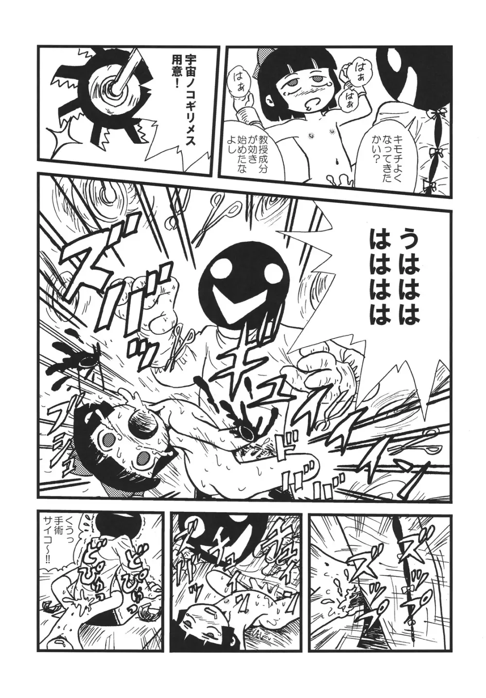 つるぺた研究報告書「つるぺた教団の野望」 - page14