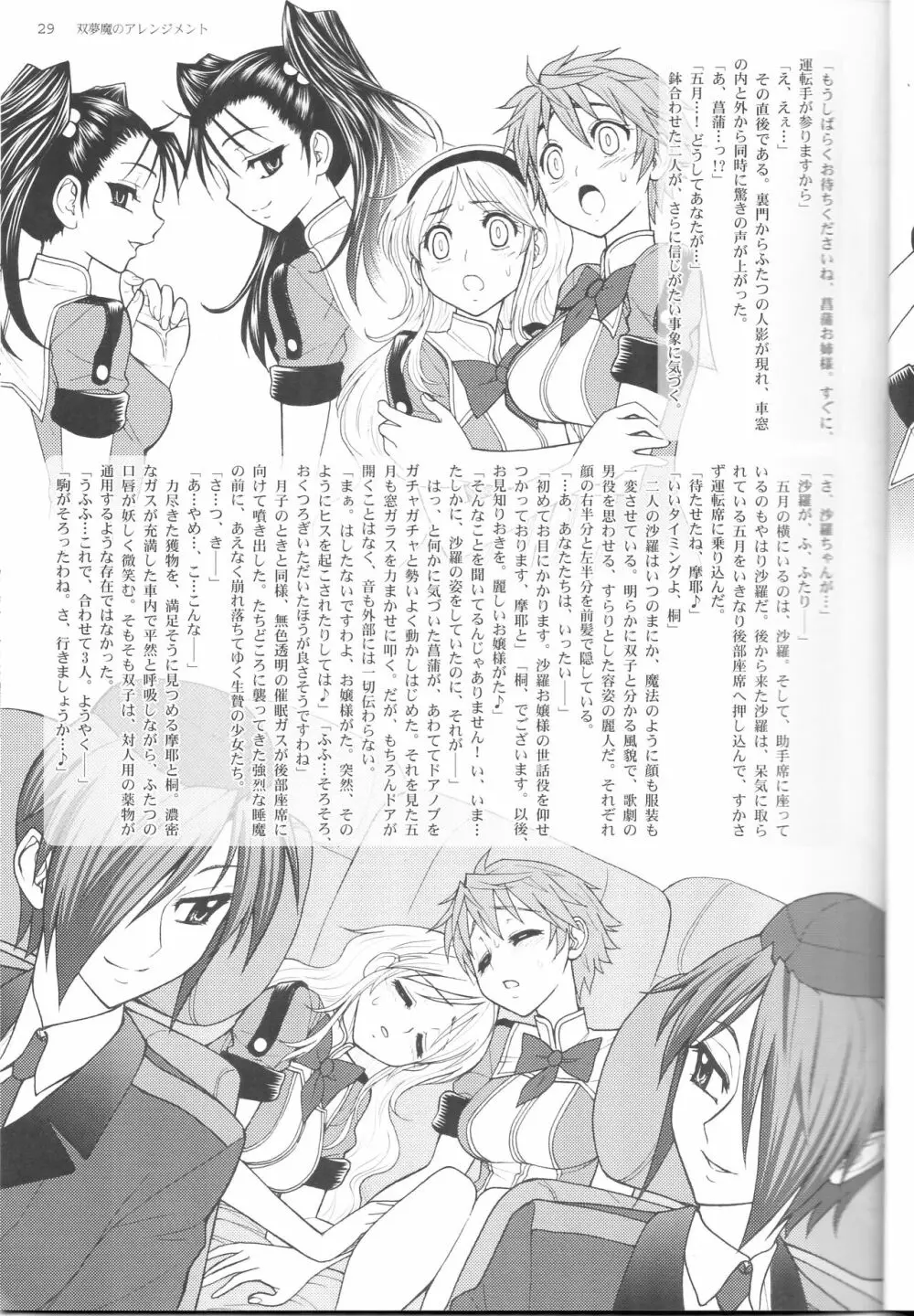 双夢魔のアレンジメント - page29