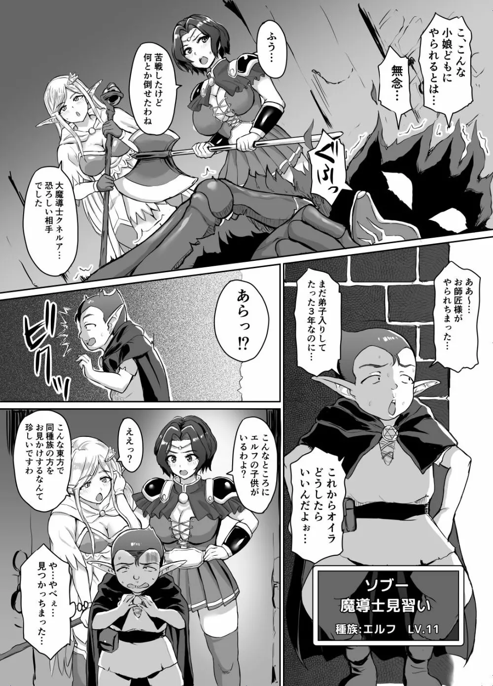 スケベエルフと冒険者ギルド ～大魔導士討伐編～ - page3