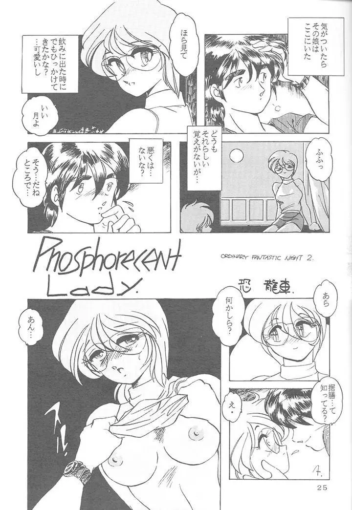 サディスティックマガジン 4号 - page25