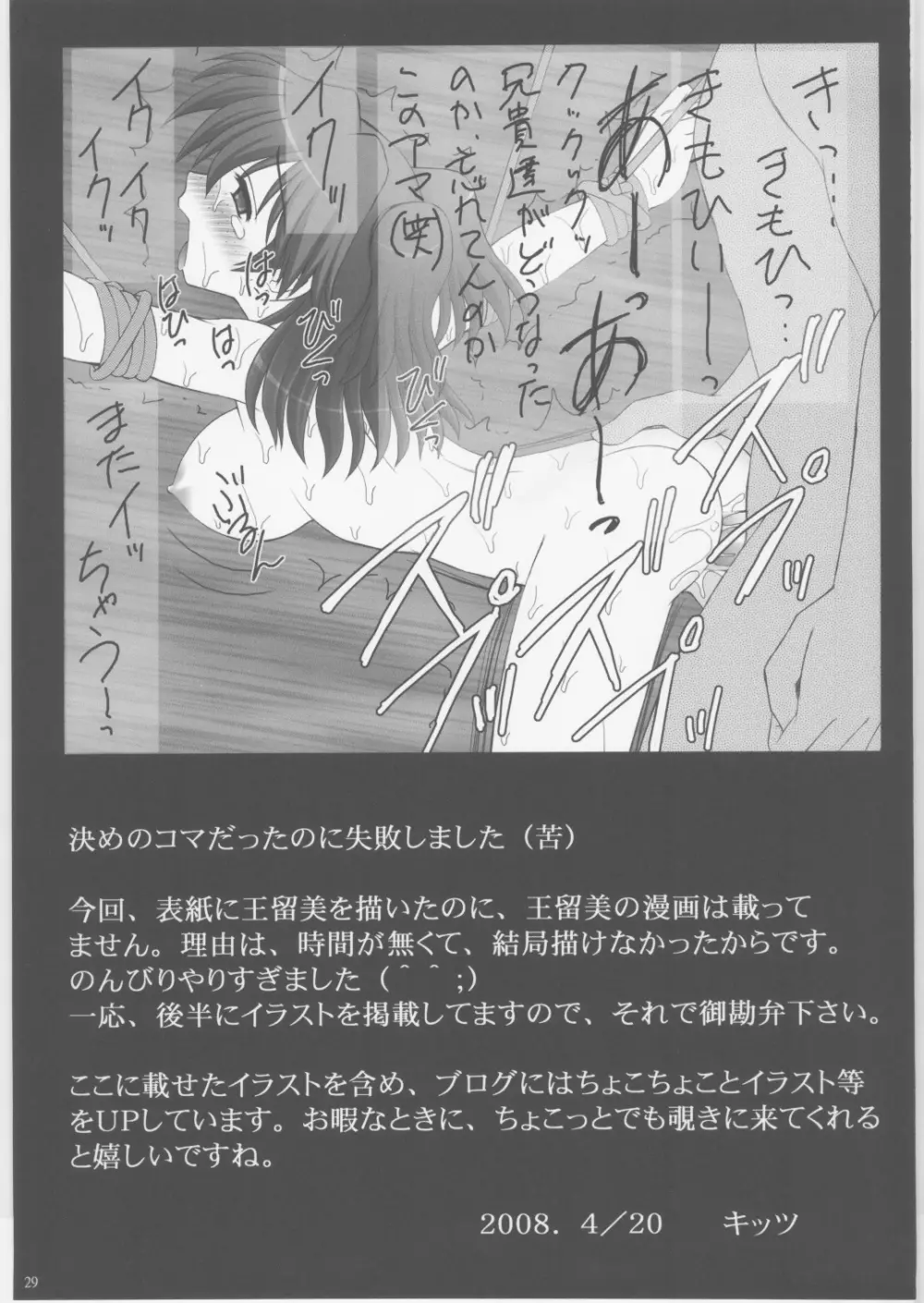 緊縛凌辱Ⅱ ヨウシャネーナ - page28